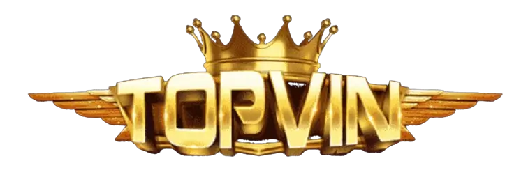 Topvin